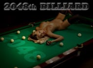2048th Billiard adult game