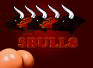 5 Bulls adult game