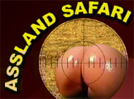 Assland Safari adult game