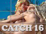Catch 16 adult game