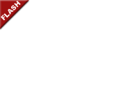 Flash Game