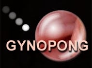 GynoPong adult game