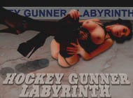 Hockey Gunner-2 (labyrinth) adult game