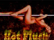 Hot Flush mobile game