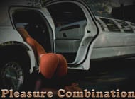 Pleasure Combination adult game