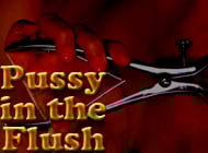Pussy in the Flush sex game