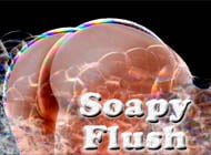 Soapy Flush adult game