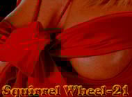 Squirrel Wheel-21 strip game
