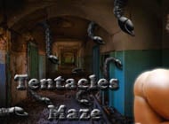 Tentacles Maze adult game