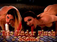 Tits Under Flush-3Some sex game